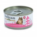 Salican 經典吞拿魚系列 吞拿魚藍貝南瓜湯 Tuna White Meat with mussel in pumpkin Soup 主食罐 桃 85g