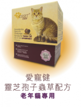 圖片 1