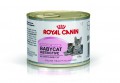 ROYAL CANIN (BB02) 1-4個月BB貓罐頭 195g